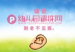 中班安全课件PPT《我不挖耳朵》PPT课件图片