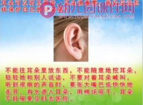 中班安全课件PPT《我不挖耳朵》PPT课件图片