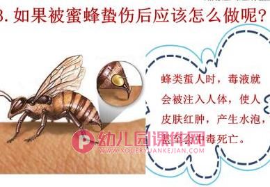 中班安全课件PPT《什么虫子会蜇人》PPT课件图片