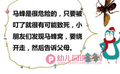 中班安全课件PPT《哪些虫子会蛰人》PPT课件图片