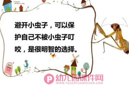 中班安全课件PPT《哪些虫子会蛰人》PPT课件图片
