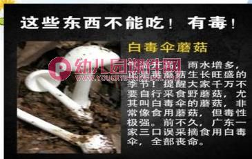 中班安全教育课件PPT《这些东西能吃吗》PPT课件图片