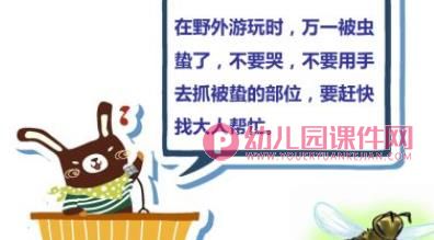 中班安全课件PPT《哪些虫子会蛰人》PPT课件图片