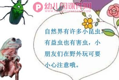 中班安全课件PPT《什么虫子会蜇人》PPT课件图片