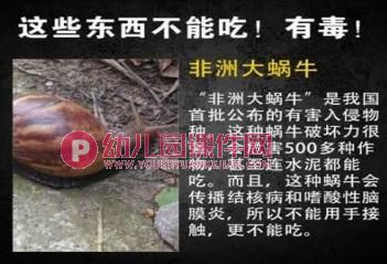 中班安全教育课件PPT《这些东西能吃吗》PPT课件图片