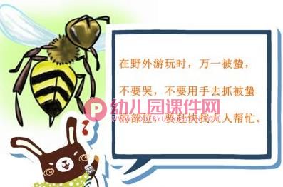中班安全课件PPT《什么虫子会蜇人》PPT课件图片