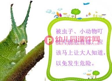 中班安全课件PPT《什么虫子会蜇人》PPT课件图片
