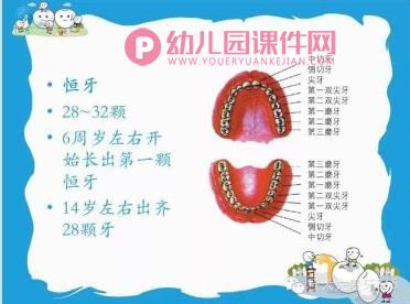 中班健康课件PPT《爱牙小卫士》PPT课件图片