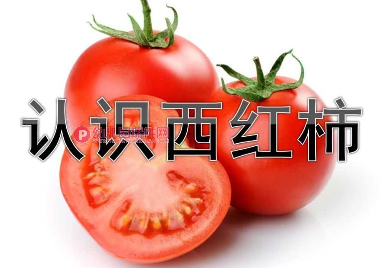 中班健康优质课课件PPT《认识西红柿》PPT课件图片