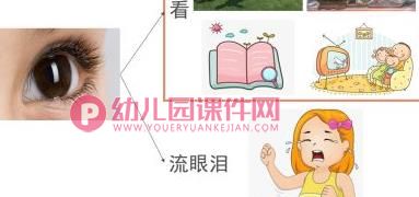 中班健康课件PPT《认识五官》PPT课件图片