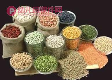 中班健康活动课件PPT《食品安全》PPT课件图片
