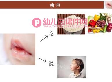 中班健康课件PPT《认识五官》PPT课件图片