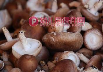 中班健康课件PPT《好“吃”的伞》PPT课件图片