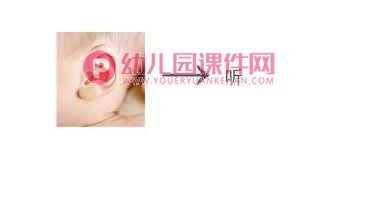中班健康课件PPT《认识五官》PPT课件图片