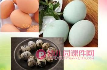 中班健康课件PPT《圆溜溜的鸡蛋真可爱》PPT课件图片