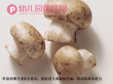 中班健康课件PPT《好“吃”的伞》PPT课件图片