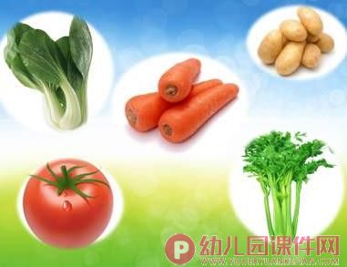 中班健康课件PPT《荤菜蔬菜》PPT课件图片