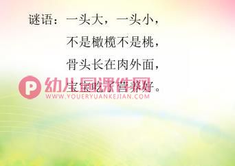 中班健康课件PPT《圆溜溜的鸡蛋真可爱》PPT课件图片