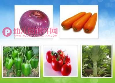 中班健康课件PPT《荤菜蔬菜》PPT课件图片