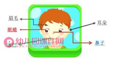 中班健康课件PPT《认识五官》PPT课件图片