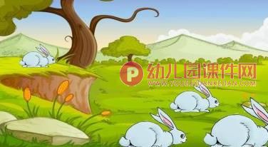 中班健康课件PPT《小动物找家》PPT课件图片