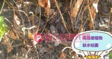 中班预防中暑PPT课件图片图片