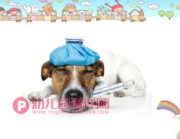 中班健康活动教育课件PPT《感冒我不怕》PPT课件图片