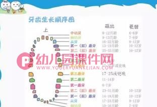 中班健康课件PPT《爱牙小卫士》PPT课件图片
