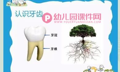 中班健康课件PPT《爱牙小卫士》PPT课件图片