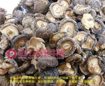 中班健康课件PPT《好“吃”的伞》PPT课件图片