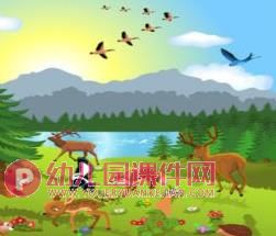 中班健康课件PPT《小动物找家》PPT课件图片