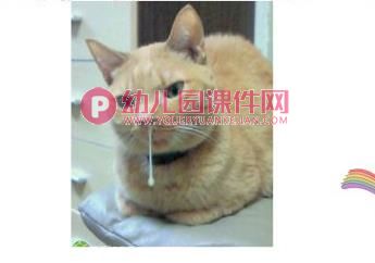 中班健康活动教育课件PPT《感冒我不怕》PPT课件图片