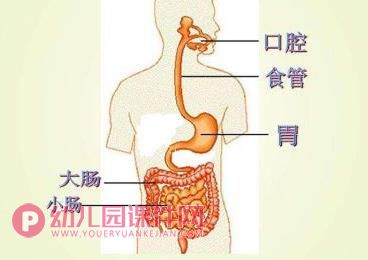 中班健康教育课件PPT《文明进餐我最棒》PPT课件图片