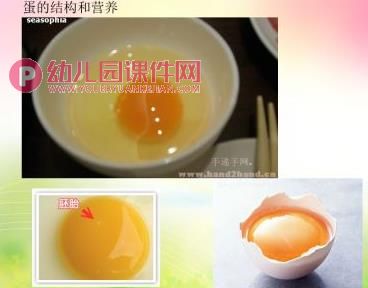 中班健康课件PPT《圆溜溜的鸡蛋真可爱》PPT课件图片