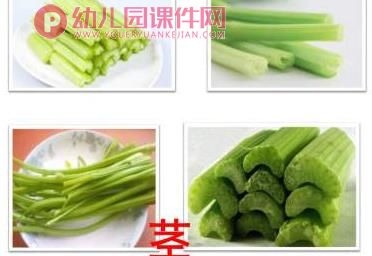 中班健康课件PPT《好吃的芹菜》PPT课件图片