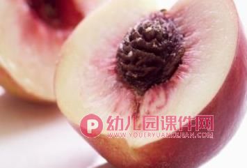 中班科学活动课件PPT《种子在哪里》PPT课件图片