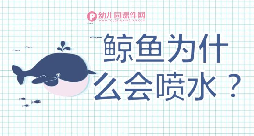 中班科学课件PPT《鲸鱼为什么会喷水》PPT课件图片