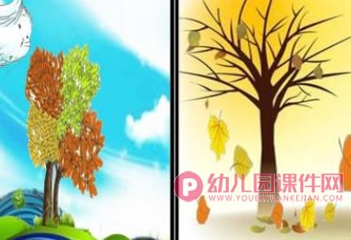 中班科学课件PPT《秋冬的树》PPT课件图片