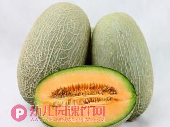 中班科学活动课件PPT《种子在哪里》PPT课件图片