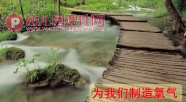 中班科学课件PPT《大树的作用》PPT课件图片