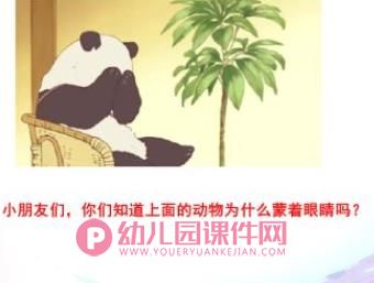 中班科学课件PPT《国宝大熊猫》PPT课件图片