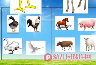 中班科学课件PPT《饲养员请客》PPT课件图片