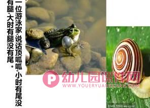 中班科学课件PPT《动物之最》PPT课件图片