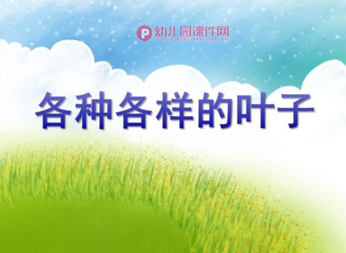 中班科学活动课件PPT《各种各样的叶子》PPT课件图片