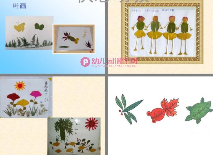 中班科学活动课件PPT《各种各样的叶子》PPT课件图片