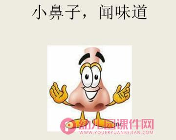 中班科学课件PPT《五官本领大》PPT课件图片