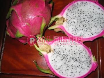 中班科学活动课件PPT《种子在哪里》PPT课件图片