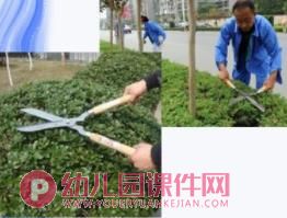 中班科学课件PPT《有趣的剪刀》PPT课件图片