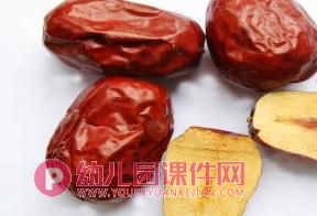 中班科学活动课件PPT《种子在哪里》PPT课件图片