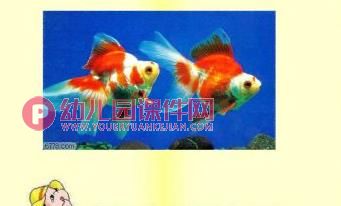 中班科学课件PPT《动物睡姿》PPT课件图片